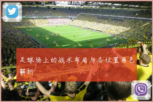 足球场上的战术布局与各位置角色解析