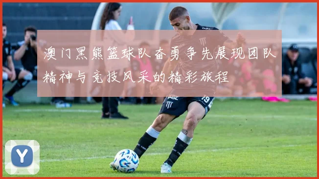 澳门黑熊篮球队奋勇争先展现团队精神与竞技风采的精彩旅程