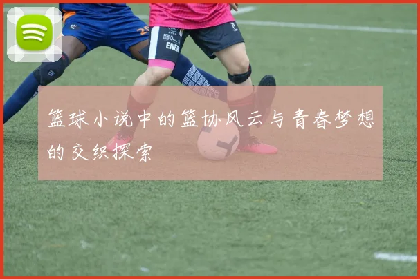 篮球小说中的篮协风云与青春梦想的交织探索